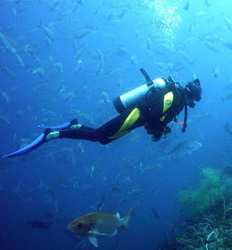 Certified 2 Tank Scuba Diving in Tamarindo