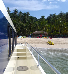 39' Catamaran Private Charter (up to 49 Pax)