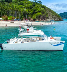 39' Catamaran Private Charter (up to 49 Pax)