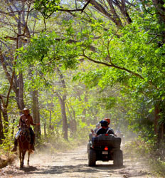 4 Hour Jungle ATV Tour + Waterfall Swim