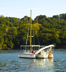 49' Private Trimaran Charters up to 35 Pax