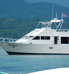 Bay Princess Party Boat Yacht Rental