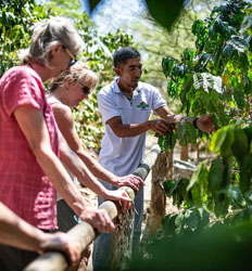 Blue Zone Cultural Tour & Indigenous Visit