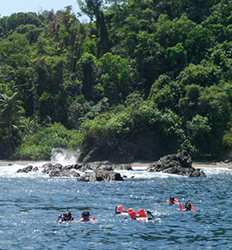 Caño Island Biological Reserve Snorkel Tour