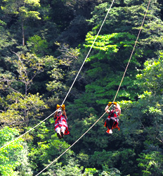 Canopy San Lorenzo Adventure Cables