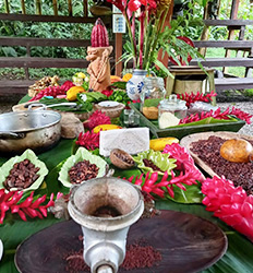 Chocolate Lovers Shore Excursion Puerto Limon