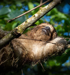 Customized Private Tours from Puntarenas