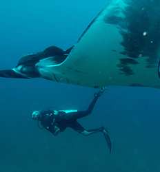 A diver finds a bag of bones on the Coco beach in Badalona