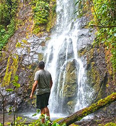 El Burrito Mountain & Waterfall Trail + Children’s Eternal Rainforest Hike