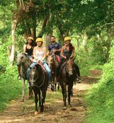 Hacienda Horseback Adventure & Rainforest Aerial Tram Ride