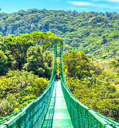 Monteverde Cloud Forest Hanging Bridges, Sloth Sanctuary & Reptile House