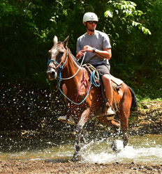 Horseback Riding on the Beach + Tarcoles Crocodile Tour Costa Rica