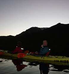 Kayak Damas Island Mangroves at Night Tour