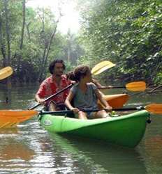 Kayaking Playa Guapil Mangroves