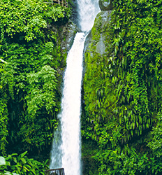 La Paz Waterfall Gardens from La Fortuna