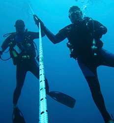 Certified Scuba Diving Playa del Coco, Papagayo