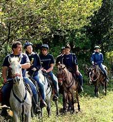 Monteverde Cloudforest Horseback Ride