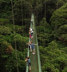 Monteverde Cloud Forest Tour Experience
