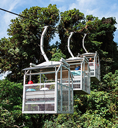 Monteverde Sky Tram and Sky Walk Hanging Bridges