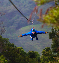 Monteverde Zipline + Cloud Forest Night Hike