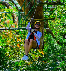 Next Level Canopy Tour