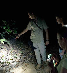 Night Hike at Hacienda Baru Wildlife Refuge