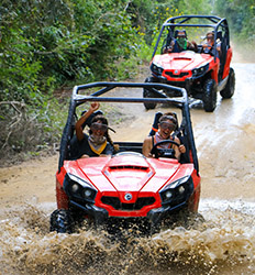 Off Road Buggy + Tarcoles Crocodile Tour | Puntarenas Shore Excursionss