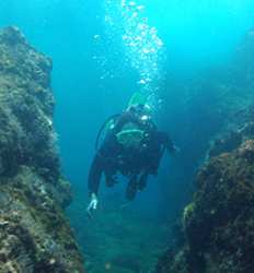 PADI Open Water Diver Referral Course