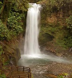Poas La Paz Waterfall Gardens 1 Day