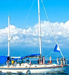 Private 54' Sailboat Charter up to 24 Pax