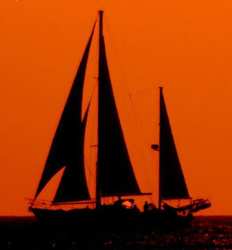 Sea Bird Sunset Cruise
