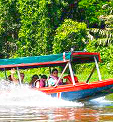 Tortuguero Shuttle (Land & Water Transfer)