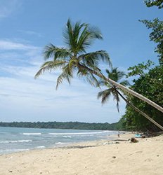 Cahuita National Park Hike & Snorkel