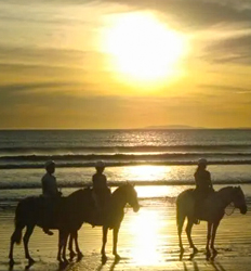 Tarcoles Beach Horseback Ride Jaco