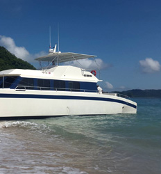 Tortuga Island Catamaran From Herradura Beach