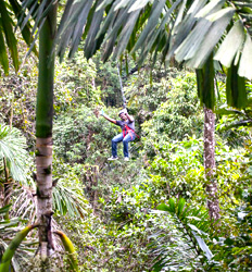 Veragua Overnight + Canopy Adventure