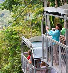 Veragua Aerial Tram, Park + The Original Canopy Tour