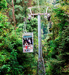 Veragua Aerial Tram, Park + The Original Canopy Tour