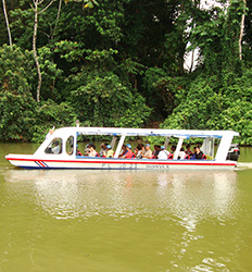 Costa Rica Aerial Tram + Tortuguero Canal Shore Excursion