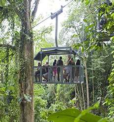 Veragua Rainforest Aerial Tram and Trails Tour