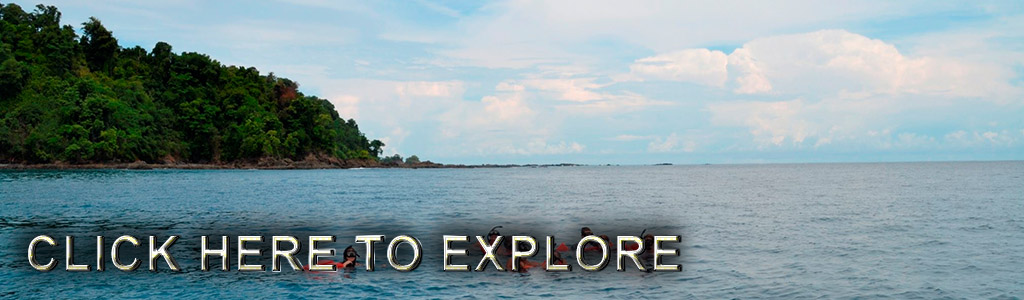 Caño Island Biological Reserve Snorkel Tour