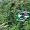 Jaco Rainforest Aerial Tram