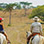 Aventura en la Montaña de Borinquen