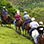 Paseo en Caballo al Bosque Nuboso de Monteverde, Costa Rica