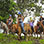 Volcán Arenal Paseo en Caballo & Visita a las Cascadas La Fortuna