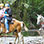 Volcán Arenal Paseo en Caballo & Visita a las Cascadas La Fortuna