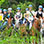 Volcán Arenal Paseo en Caballo & Visita a las Cascadas La Fortuna