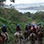 Cabalgata por el Volcán Arenal & Aguas Termales