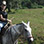 Cabalgata por el Volcán Arenal & Aguas Termales