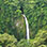 Caminata Guiada hacia la Cascada La Fortuna